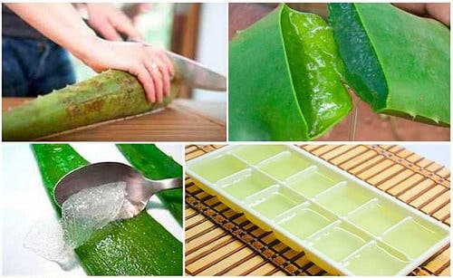 Descubre por qué deberías congelar el aloe vera o sábila
