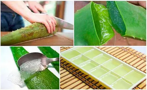 Descubre por qué deberías congelar el aloe vera o sábila