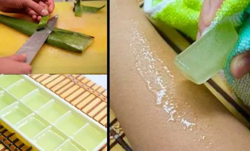 congelar-aloe-vera