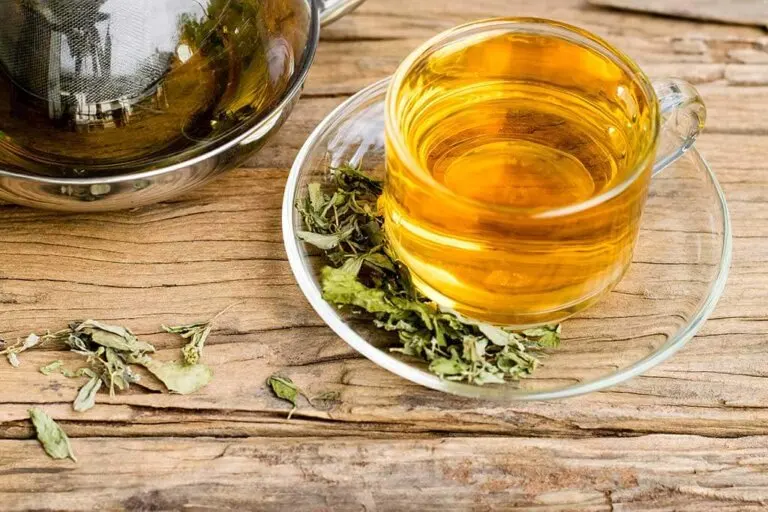 El consumo de té verde y té negro reduce el riesgo de accidente cerebrovascular
