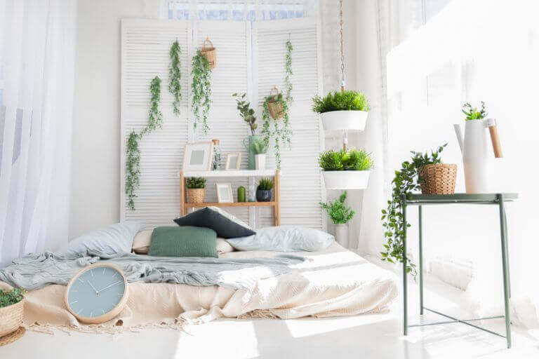 ¿Es bueno dormir con plantas en la habitación?