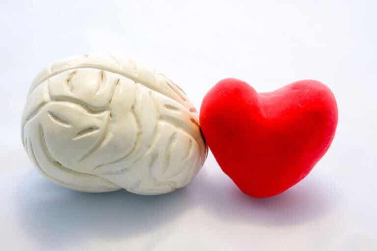 ¿Cómo influye el amor en el cerebro?