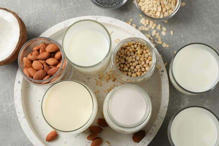 ¿Cuál es la mejor leche que podemos consumir?