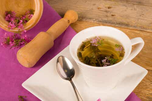 Las plantas medicinales más efectivas para tratar los síntomas de la menopausia