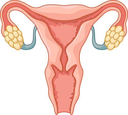 4 señales que permiten identificar el síndrome de ovario poliquístico
