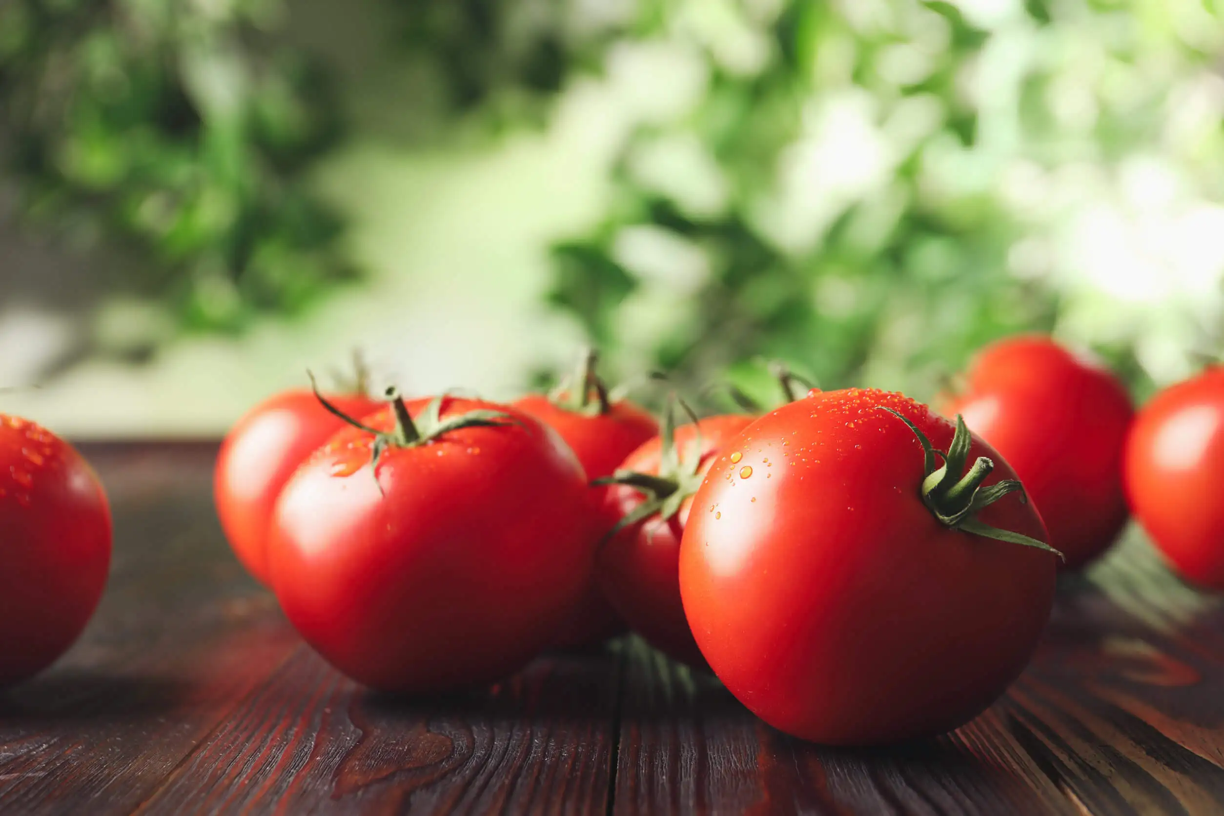 Tomates orgánicos.