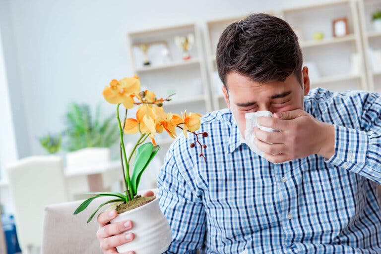 Fiebre del heno: 10 remedios para combatirla
