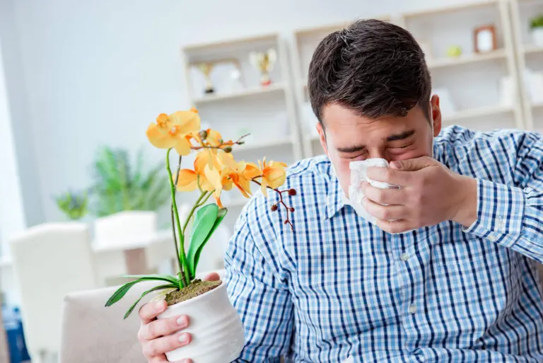 Fiebre del heno: 10 remedios para combatirla