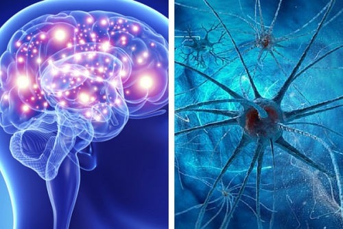 9 hábitos que matan las neuronas y afectan la salud cerebral