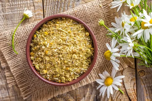 Beneficios de la manzanilla para relajar los músculos