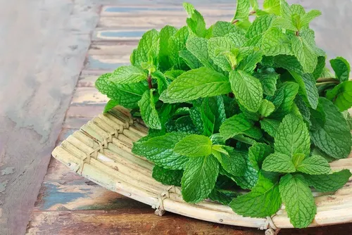 Cómo preparar infusión de hierbabuena