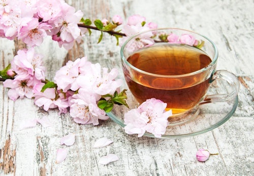 Como preparar chá de flor de cerejeira?