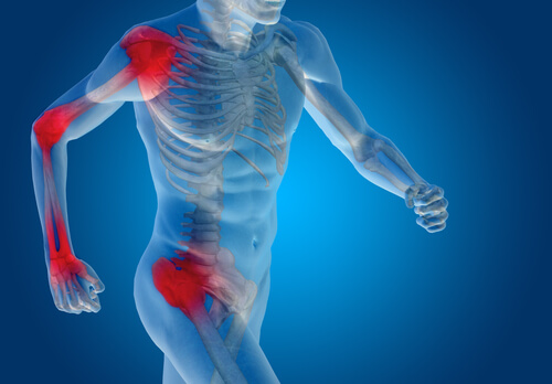 Los cartílagos y ligamentos del cuerpo