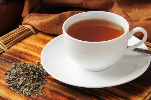 Más aplicaciones del té de boldo