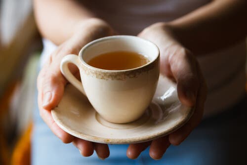 infusiones beneficiosas para el estomago sensible
