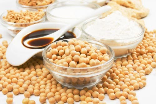 Soya y sus derivados