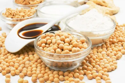 Soya y sus derivados