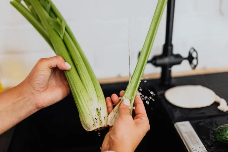 Tratar el colon irritable con alimentos antiinflamatorios