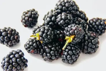 Beneficios de las moras para la salud