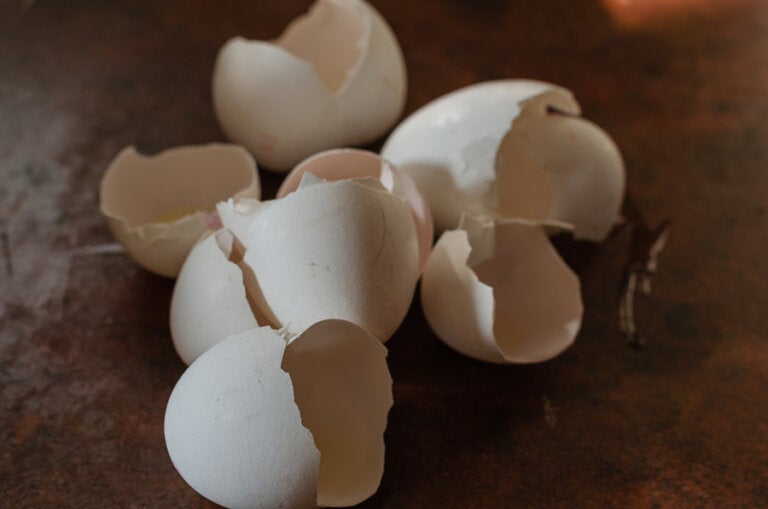 No tires las cáscaras de huevo nunca más: te contamos para qué sirven