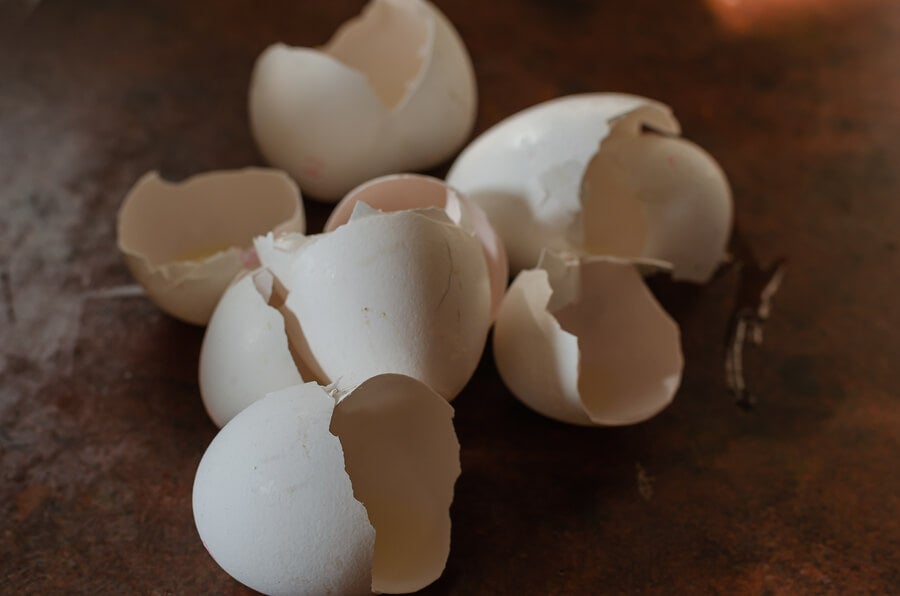 Melancólico Preservativo bolita No tires las cáscaras de huevo nunca más: te contamos para qué sirven -  Mejor con Salud