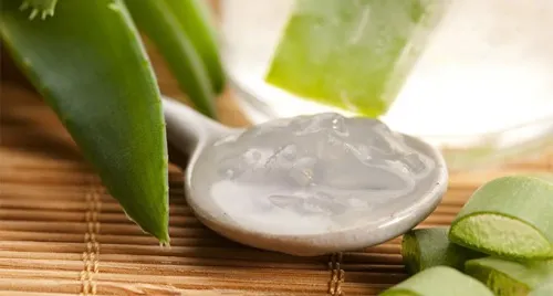 cremas caseras con aloe vera