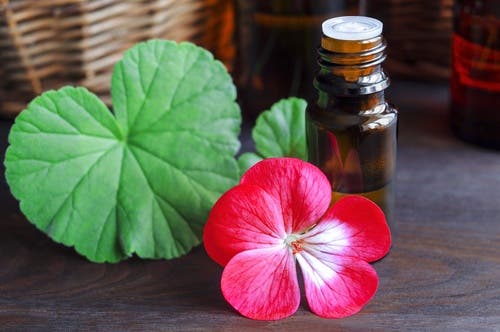 Aceite de geranio.