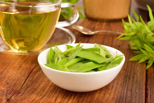 Hojas e infusión de verbena