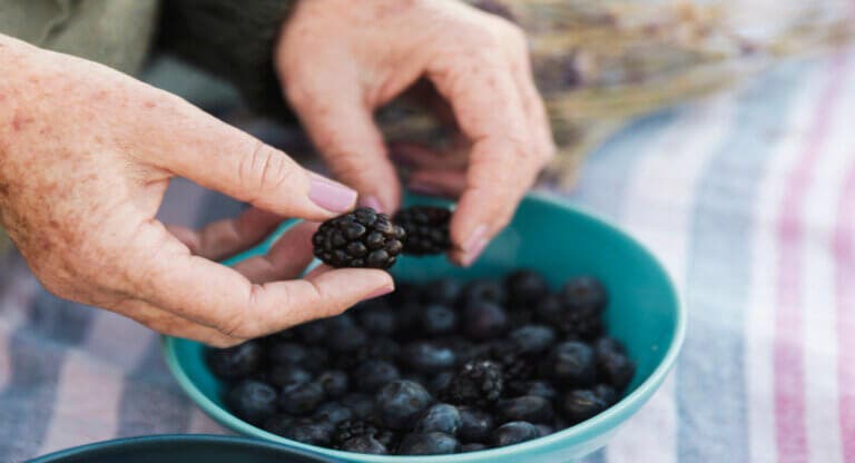 11 beneficios que puedes obtener por consumir moras