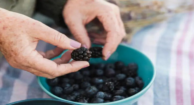 11 beneficios que puedes obtener por consumir moras