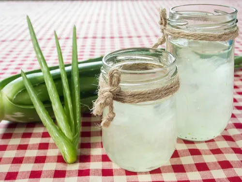 Plantas y gel de aloe vera