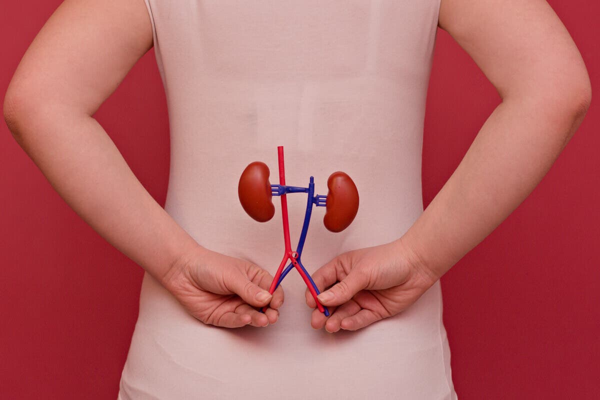 Saúde renal