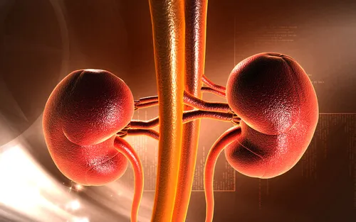 Filtración glomerular