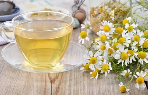 Infusión de manzanilla excelente para perder peso