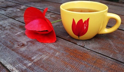 Amapola