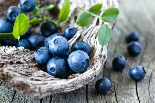 Remedio para combatir las infecciones urinarias: arándanos