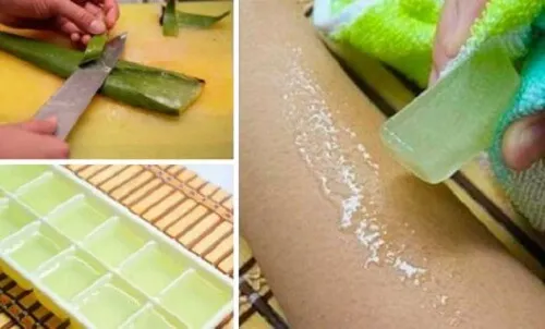 ¿Conoces los beneficios de congelar gel de aloe vera? ¡Descúbrelos!