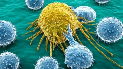 Se crea una molécula que será capaz de tratar el cáncer de ovario y de páncreas