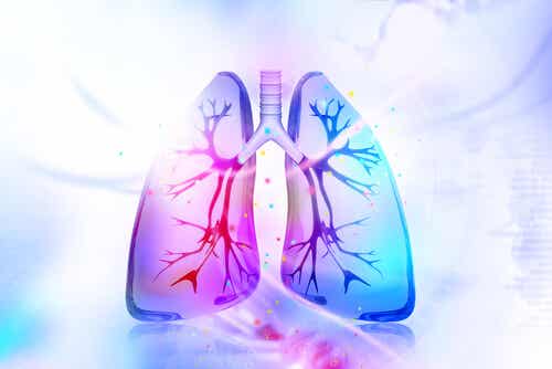 Cómo desintoxicar los pulmones