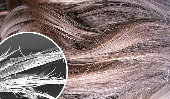 Descubre cómo reparar el cabello quemado