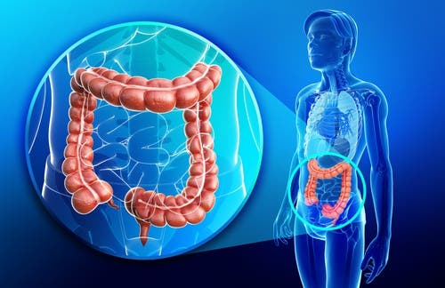 Beneficios del chucrut casero: mejora la salud intestinal