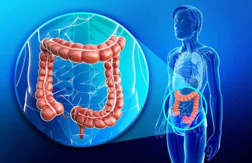 Beneficios del chucrut casero: mejora la salud intestinal