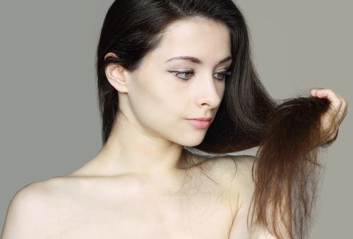 Cabello seco: tratamiento natural para combatirlo
