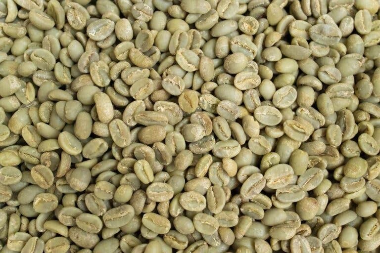 Beneficios que desconocías del café verde