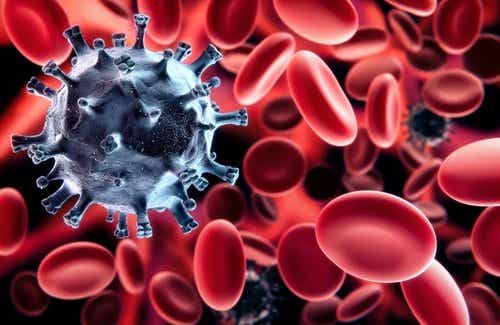 Cómo fortalecer el sistema inmunológico