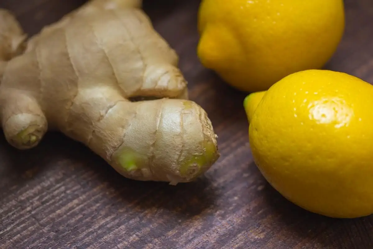 Jarabe natural de jengibre y limón para combatir la gripe