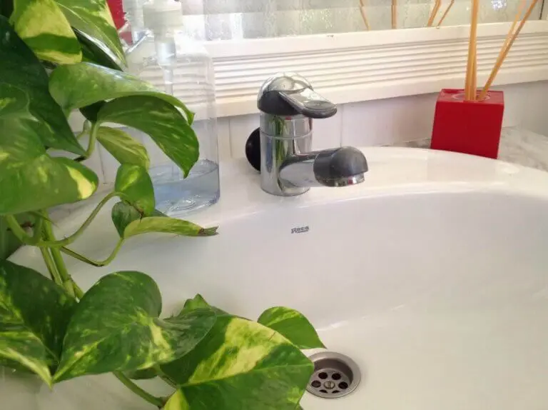 Cómo eliminar el mal olor de las cañerías en el hogar