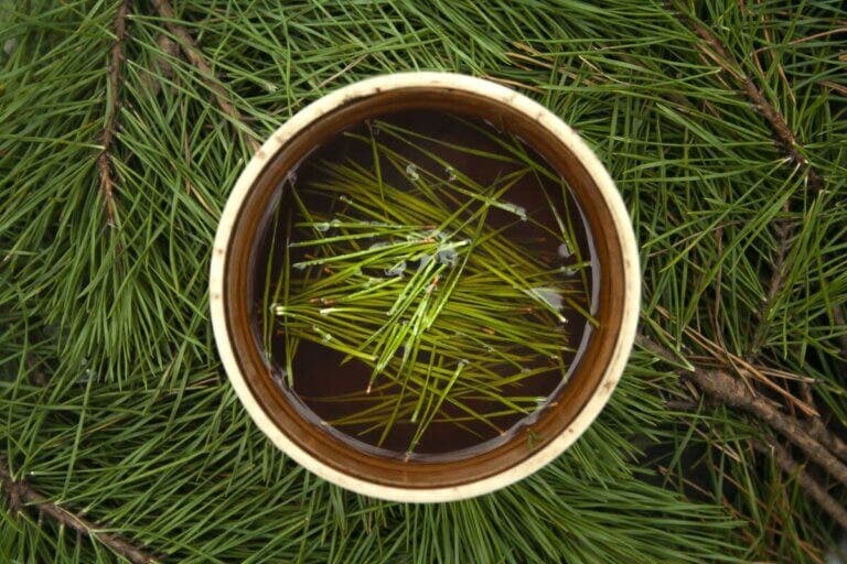 Remedio natural para regular la hipertensión