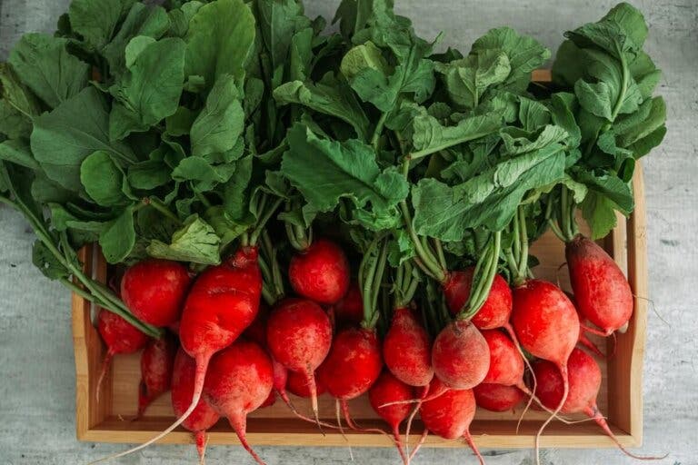 ¿Cuáles son los beneficios de la remolacha roja?