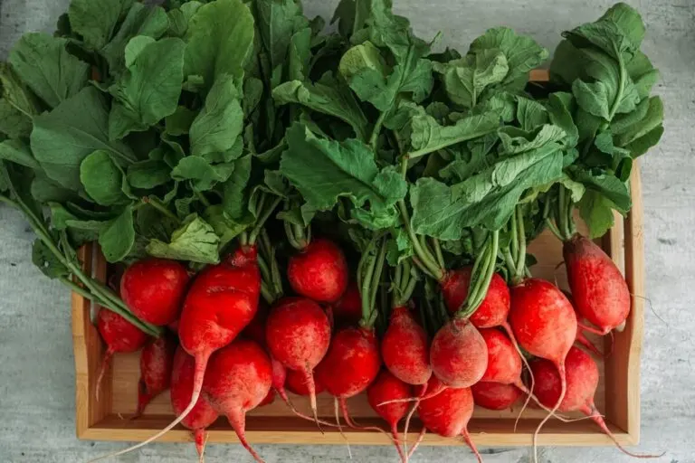 Jugo de remolacha para mejorar tu salud cerebral